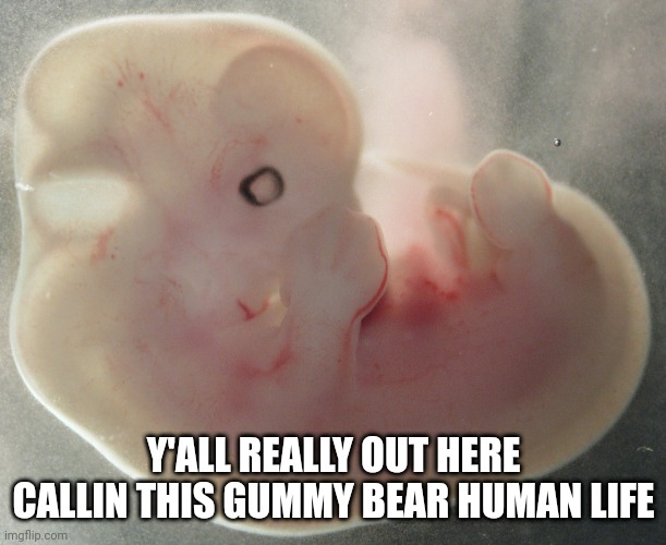 Y'ALL REALLY OUT HERE CALLIN THIS GUMMY BEAR HUMAN LIFE | made w/ Imgflip meme maker