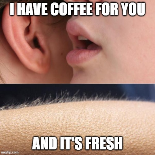 Fresh coffee | I HAVE COFFEE FOR YOU; AND IT'S FRESH | image tagged in whisper and goosebumps | made w/ Imgflip meme maker