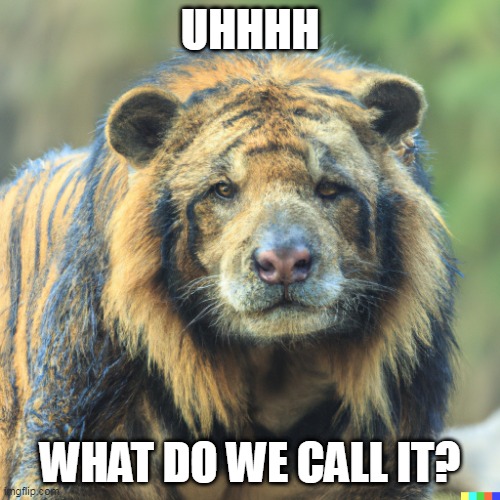 ...Biger? | UHHHH; WHAT DO WE CALL IT? | image tagged in bear,tiger,funny animals,animal,funny | made w/ Imgflip meme maker