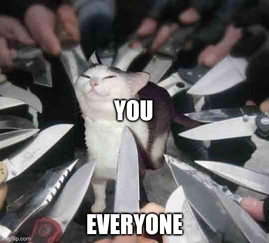 Knife Cat | YOU EVERYONE | image tagged in knife cat | made w/ Imgflip meme maker