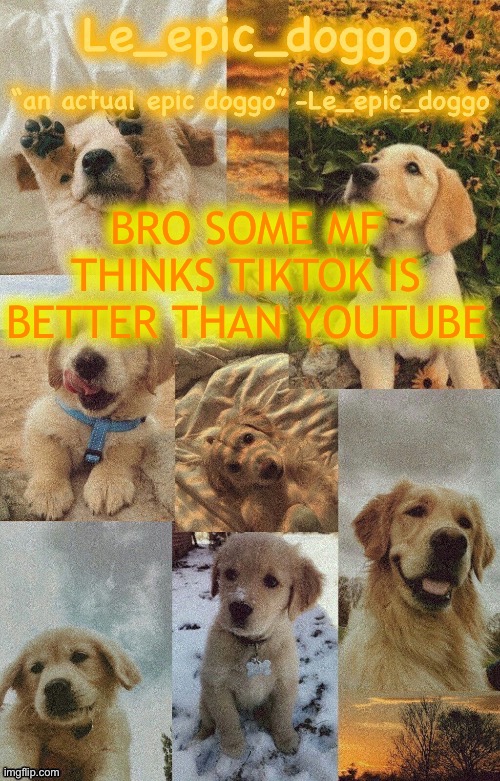 Doggo temp by doggo. Wait what that’s confusing | BRO SOME MF THINKS TIKTOK IS BETTER THAN YOUTUBE | image tagged in doggo temp by doggo wait what that s confusing | made w/ Imgflip meme maker