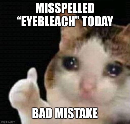 El gato | MISSPELLED “EYEBLEACH” TODAY; BAD MISTAKE | image tagged in sad thumbs up cat,ekkendk,help,spongebob my eyes,ow | made w/ Imgflip meme maker