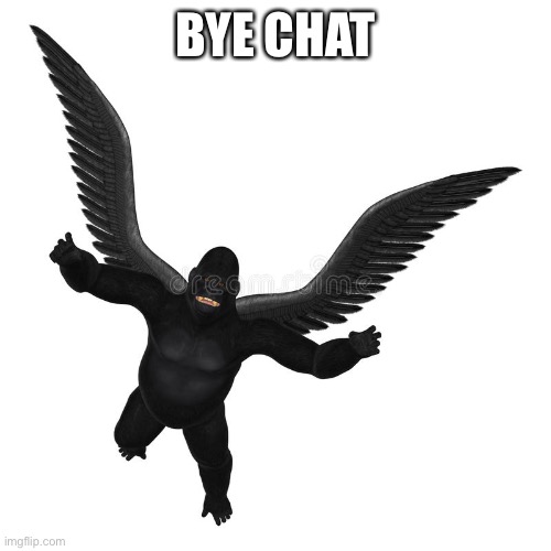 Goodnight | BYE CHAT | image tagged in flying gorilla | made w/ Imgflip meme maker