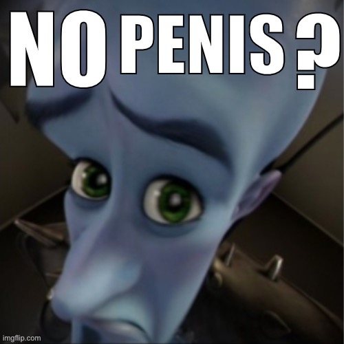 PENIS | image tagged in no bitches blank | made w/ Imgflip meme maker