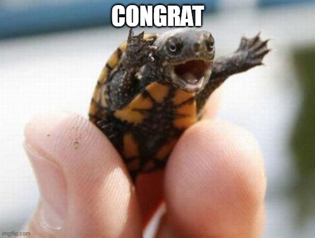 happy baby turtle | CONGRAT | image tagged in happy baby turtle | made w/ Imgflip meme maker