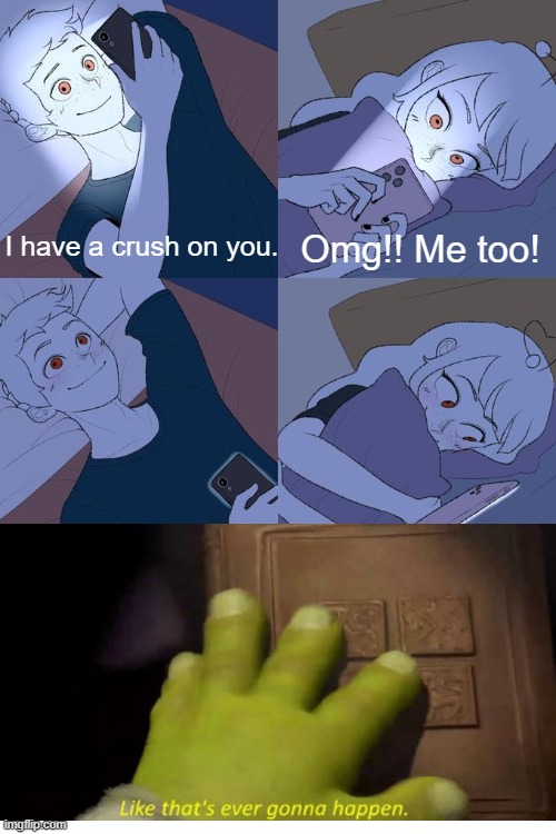 . | Omg!! Me too! I have a crush on you. | image tagged in texting | made w/ Imgflip meme maker