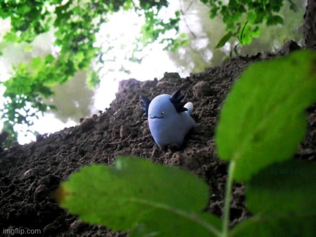 he | made w/ Imgflip meme maker