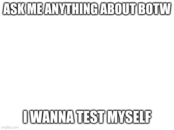 Major test of knowledge | ASK ME ANYTHING ABOUT BOTW; I WANNA TEST MYSELF | image tagged in blank white template | made w/ Imgflip meme maker