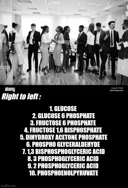 Right to left :; 1. GLUCOSE 
2. GLUCOSE 6 PHOSPHATE
3. FRUCTOSE 6 PHOSPHATE 
4. FRUCTOSE 1,6 BISPHOSPHATE 
5. DIHYDROXY ACETONE PHOSPHATE
6. PHOSPHO GLYCERALDEHYDE 
7. 1,3 BISPHOSPHOGLYCERIC ACID
8. 3 PHOSPHOGLYCERIC ACID 
9. 2 PHOSPHOGLYCERIC ACID 
10. PHOSPHOENOLPYRUVATE | image tagged in blank black | made w/ Imgflip meme maker