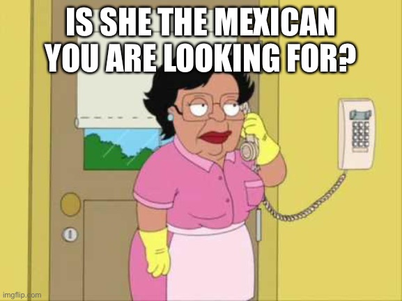 Consuela Meme | IS SHE THE MEXICAN YOU ARE LOOKING FOR? | image tagged in memes,consuela | made w/ Imgflip meme maker