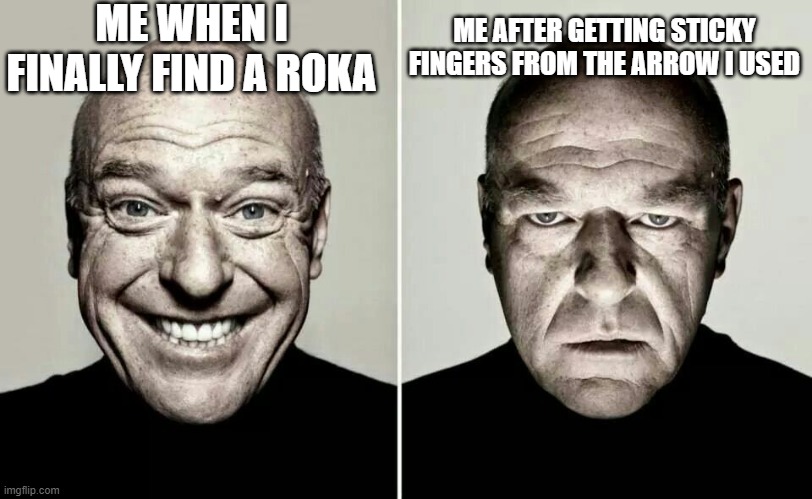 happy guy vs angry guy | ME WHEN I FINALLY FIND A ROKA; ME AFTER GETTING STICKY FINGERS FROM THE ARROW I USED | image tagged in happy guy vs angry guy | made w/ Imgflip meme maker