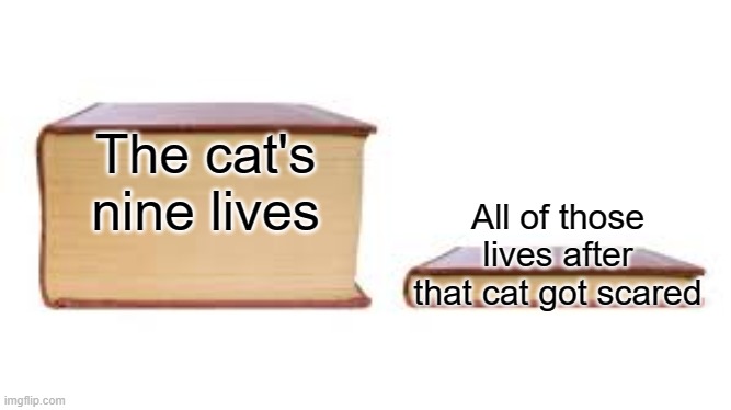 Big book small book | The cat's nine lives All of those lives after that cat got scared | image tagged in big book small book | made w/ Imgflip meme maker