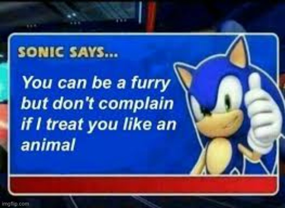 you can but don't complain if i treat u like an animal and don't | image tagged in anti furry | made w/ Imgflip meme maker