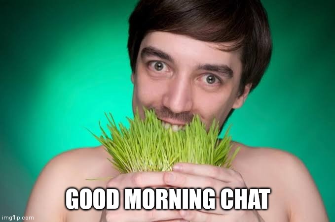 He be touchin gras | GOOD MORNING CHAT | image tagged in he be touchin gras | made w/ Imgflip meme maker
