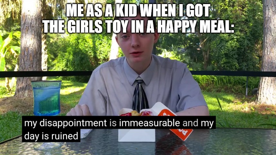 Back then, I did not mess around about Happy Meals. | ME AS A KID WHEN I GOT THE GIRLS TOY IN A HAPPY MEAL: | image tagged in my disappointment is immeasurable,happy meal,childhood | made w/ Imgflip meme maker