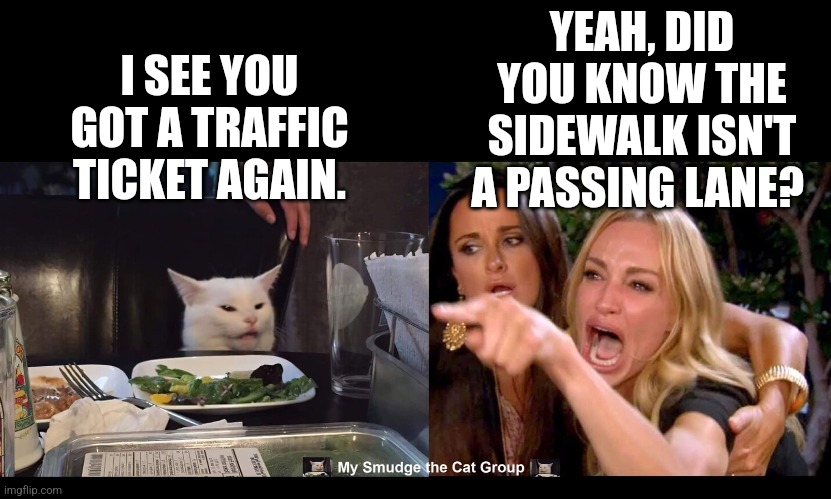 YEAH, DID YOU KNOW THE SIDEWALK ISN'T A PASSING LANE? I SEE YOU GOT A TRAFFIC TICKET AGAIN. | image tagged in smudge the cat | made w/ Imgflip meme maker