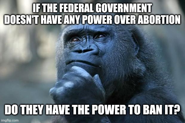 Deep Thoughts | IF THE FEDERAL GOVERNMENT DOESN'T HAVE ANY POWER OVER ABORTION DO THEY HAVE THE POWER TO BAN IT? | image tagged in deep thoughts | made w/ Imgflip meme maker