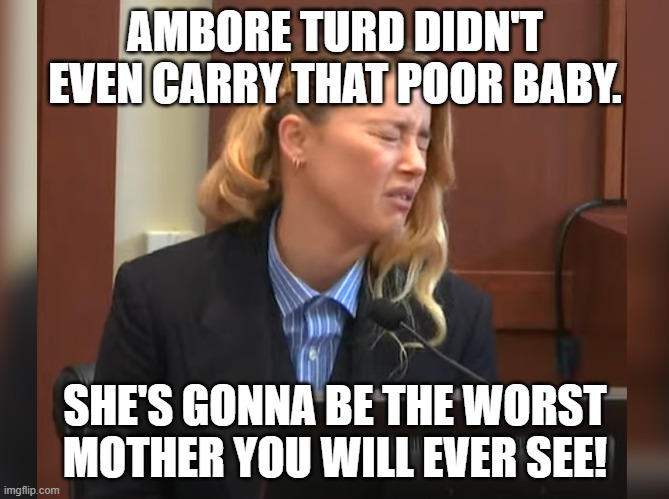 The baby's father is a bee. |  AMBORE TURD DIDN'T EVEN CARRY THAT POOR BABY. SHE'S GONNA BE THE WORST MOTHER YOU WILL EVER SEE! | image tagged in amber heard dog stepped on a bee,baby,surrogate,evil mother,ambore turd,amber heard | made w/ Imgflip meme maker