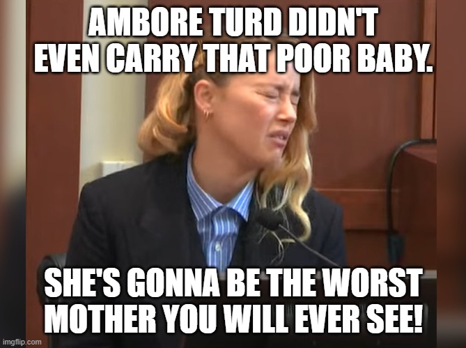 The baby's father is a bee. | AMBORE TURD DIDN'T EVEN CARRY THAT POOR BABY. SHE'S GONNA BE THE WORST MOTHER YOU WILL EVER SEE! | image tagged in amber heard dog stepped on a bee,baby,surrogate,evil mother,ambore turd,amber heard | made w/ Imgflip meme maker