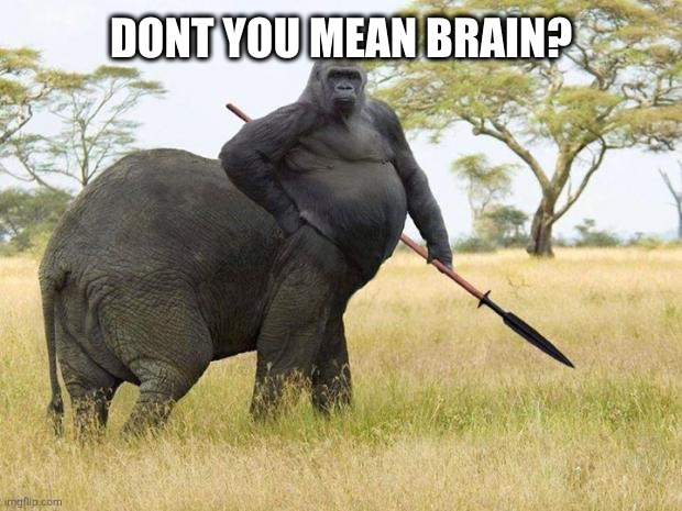 da fuq? | DONT YOU MEAN BRAIN? | image tagged in da fuq | made w/ Imgflip meme maker