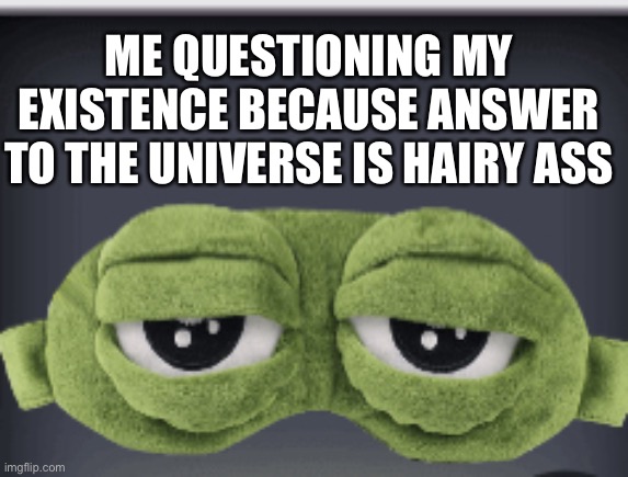 Meme Frog | ME QUESTIONING MY EXISTENCE BECAUSE ANSWER TO THE UNIVERSE IS HAIRY ASS | image tagged in meme frog | made w/ Imgflip meme maker