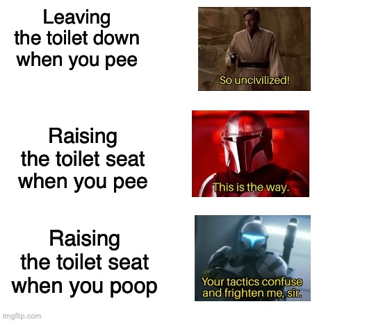 ah | Leaving the toilet down when you pee; Raising the toilet seat when you pee; Raising the toilet seat when you poop | image tagged in blank white template | made w/ Imgflip meme maker