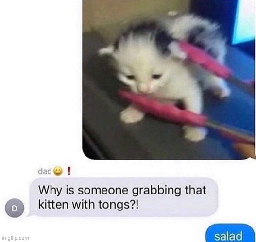 salad | image tagged in memes | made w/ Imgflip meme maker