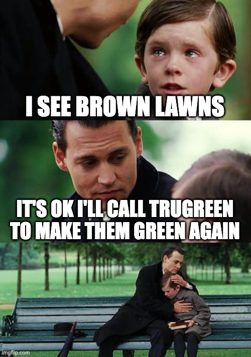 Finding Neverland Meme | I SEE BROWN LAWNS; IT'S OK I'LL CALL TRUGREEN TO MAKE THEM GREEN AGAIN | image tagged in memes,finding neverland | made w/ Imgflip meme maker