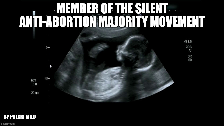 baby | MEMBER OF THE SILENT ANTI-ABORTION MAJORITY MOVEMENT; BY POLSKI MILO | image tagged in politics | made w/ Imgflip meme maker