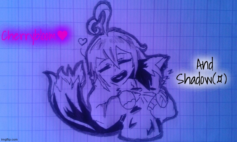 Me and ♥CherrybloomUT♥ | Cherrybloom♥; And Shadow(¤) | image tagged in cherrybloomut and shadow secret cat form | made w/ Imgflip meme maker