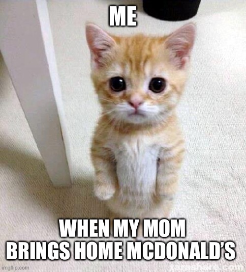 He just wants McDonalds | ME; WHEN MY MOM BRINGS HOME MCDONALD’S | image tagged in memes,cute cat | made w/ Imgflip meme maker