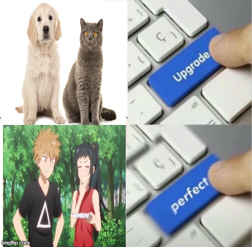 Dogs and cats living together! Mass hysteria! | image tagged in upgrade perfect,anime,memes,manga,Animemes | made w/ Imgflip meme maker