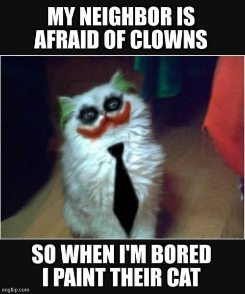 Evil Cat | image tagged in clown | made w/ Imgflip meme maker