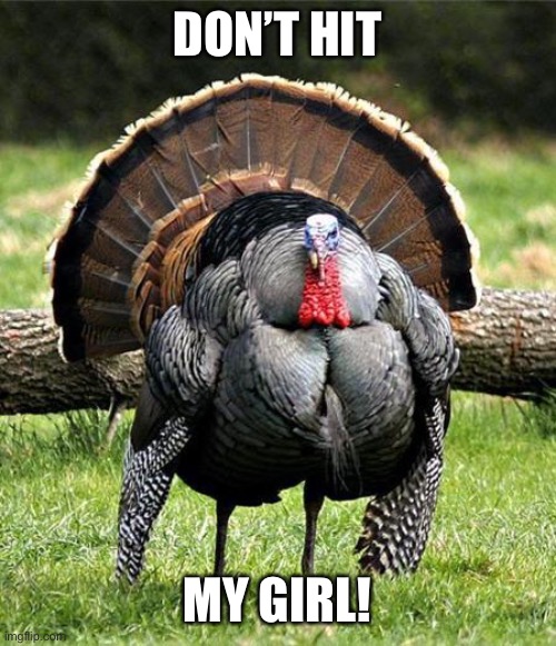 Thanksgiving Day | DON’T HIT MY GIRL! | image tagged in thanksgiving day | made w/ Imgflip meme maker