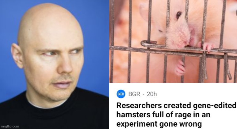 Billy Corgan Comes Face To Face With A Rat In A Cage | image tagged in billy corgan,smashing pumpkins,bullet with butterfly wings,rat in a cage | made w/ Imgflip meme maker
