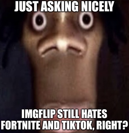 Quandale dingle | JUST ASKING NICELY; IMGFLIP STILL HATES FORTNITE AND TIKTOK, RIGHT? | image tagged in quandale dingle | made w/ Imgflip meme maker