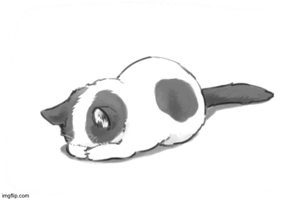 Kawaii Cat 3 | image tagged in kawaii cat 3 | made w/ Imgflip meme maker