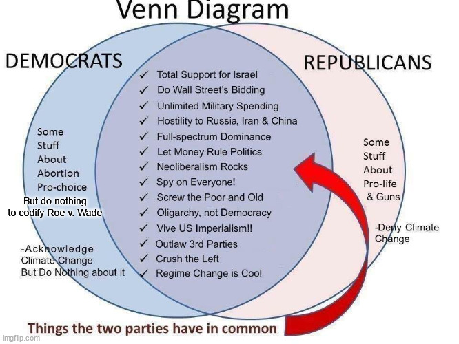 Upgraded the ol' Venn Diagram | But do nothing to codify Roe v. Wade | image tagged in venn diagram,democrats,republicans | made w/ Imgflip meme maker