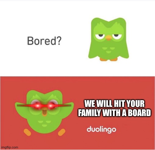 DUOLINGO BORED | WE WILL HIT YOUR FAMILY WITH A BOARD | image tagged in duolingo bored | made w/ Imgflip meme maker