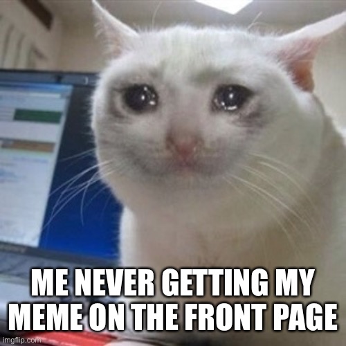 Hide the pain | ME NEVER GETTING MY MEME ON THE FRONT PAGE | image tagged in crying cat | made w/ Imgflip meme maker