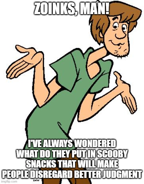 Shaggy from Scooby Doo | ZOINKS, MAN! I'VE ALWAYS WONDERED WHAT DO THEY PUT IN SCOOBY SNACKS THAT WILL MAKE PEOPLE DISREGARD BETTER JUDGMENT | image tagged in shaggy from scooby doo | made w/ Imgflip meme maker