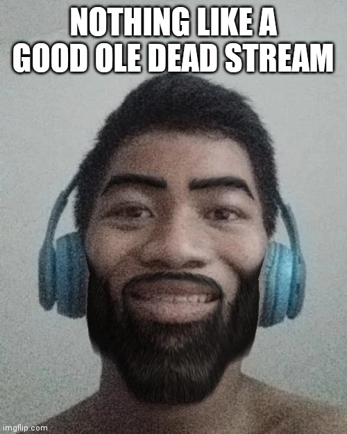 Ñ | NOTHING LIKE A GOOD OLE DEAD STREAM | made w/ Imgflip meme maker