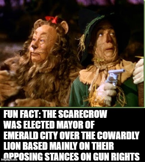 FUN FACT: THE SCARECROW WAS ELECTED MAYOR OF EMERALD CITY OVER THE COWARDLY LION BASED MAINLY ON THEIR OPPOSING STANCES ON GUN RIGHTS | image tagged in gun,gun rights,2nd amendment,the wizard of oz | made w/ Imgflip meme maker