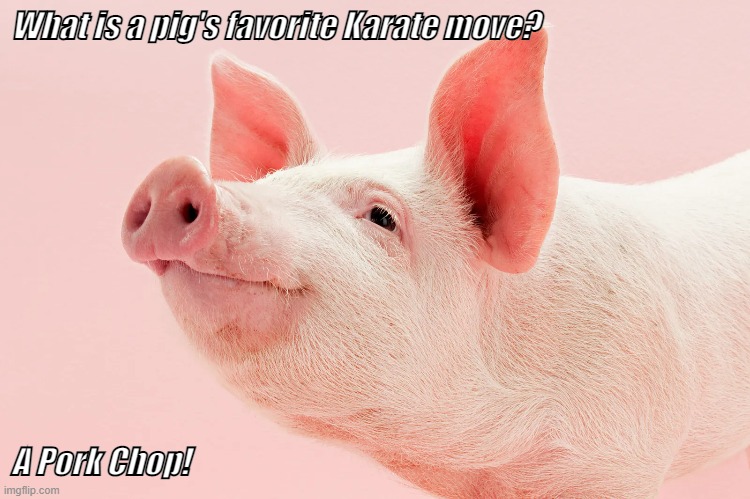Dad Joke Meme Of The Day! | What is a pig's favorite Karate move? A Pork Chop! | image tagged in dad joke meme,pig,karate,pork chop | made w/ Imgflip meme maker