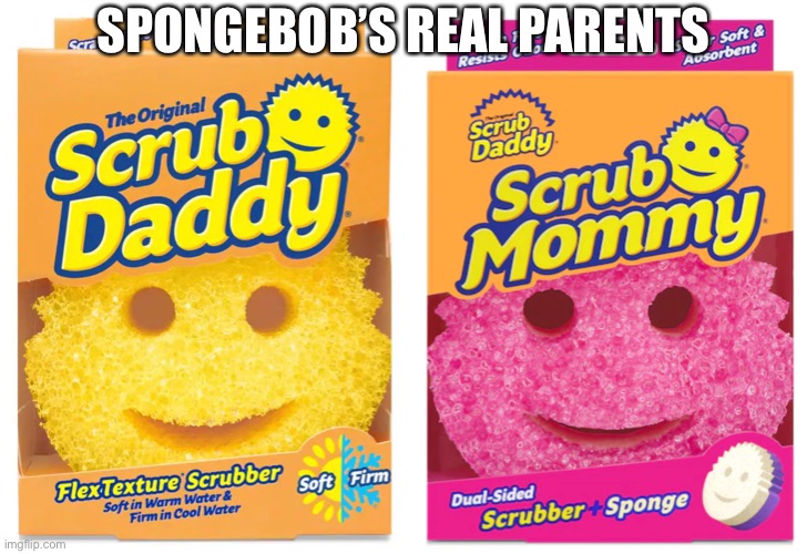 Spongebob’s real parents | SPONGEBOB’S REAL PARENTS | image tagged in spongebob,spongebob squarepants,scrub daddy,scrub mommy | made w/ Imgflip meme maker