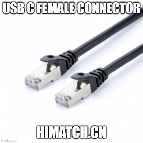 USB C Female Connector | USB C FEMALE CONNECTOR; HIMATCH.CN | image tagged in usb c female connector,usb c connector pin | made w/ Imgflip meme maker