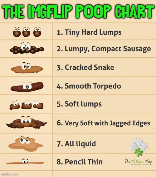 They say I'm full of it.... You are , too! |  THE IMGFLIP POOP CHART | image tagged in vince vance,poop,crap,bowel movement,memes,educational | made w/ Imgflip meme maker