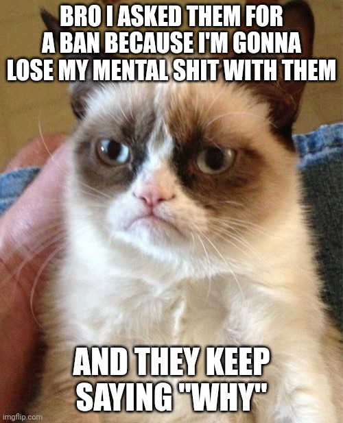 Grumpy Cat Meme | BRO I ASKED THEM FOR A BAN BECAUSE I'M GONNA LOSE MY MENTAL SHIT WITH THEM AND THEY KEEP SAYING "WHY" | image tagged in memes,grumpy cat | made w/ Imgflip meme maker