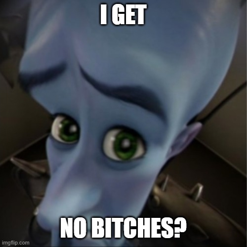 Megamind peeking | I GET NO BITCHES? | image tagged in megamind peeking | made w/ Imgflip meme maker
