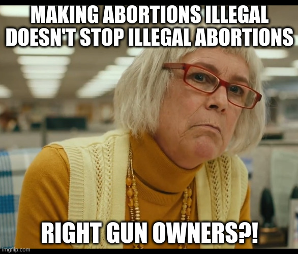 They ignored this logic for some reason I wonder why | MAKING ABORTIONS ILLEGAL
DOESN'T STOP ILLEGAL ABORTIONS; RIGHT GUN OWNERS?! | image tagged in auditor bitch,conservative,religious,stupidity | made w/ Imgflip meme maker